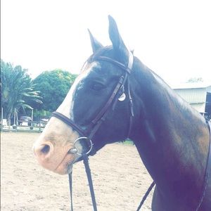 Meet your Posher, Amber