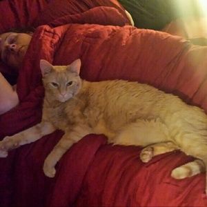 Meet your Posher, Travis