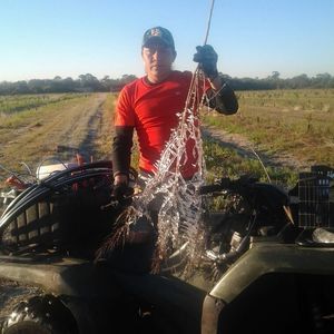 Meet your Posher, Rodrigo