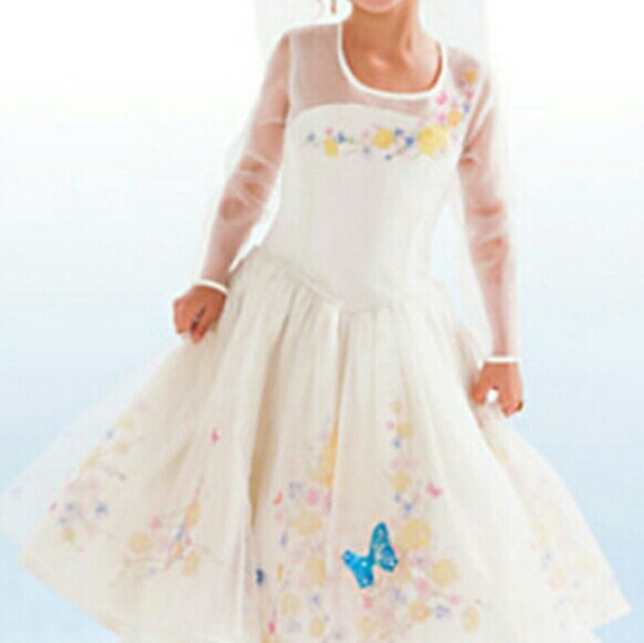 Cinderella wedding gown