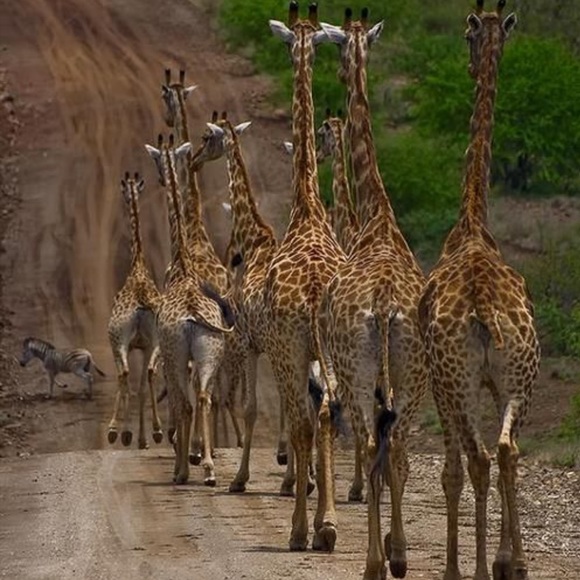 FOLLOW GAME #2🎈LOOKING 👀 FOR NEW FOLLOWERS! 🌺 - Picture 4 of 4