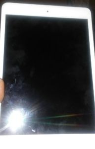 Apple iPad