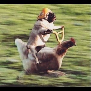 Meet your Posher, Amber