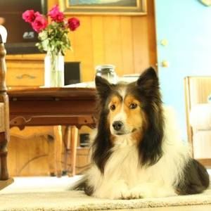 Meet your Posher, Dave