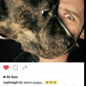 Meet your Posher, Shane