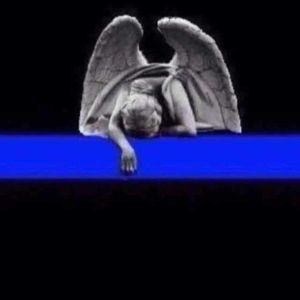 Meet your Posher, Jane