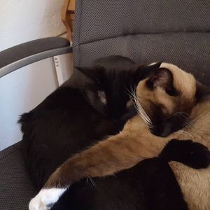 Meet your Posher, Cheryl