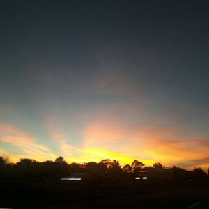 Meet your Posher, Jodie