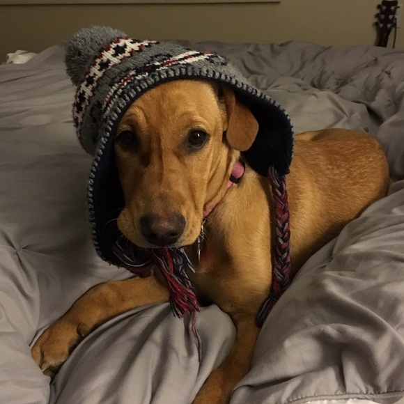 Meet your Posher, Becca