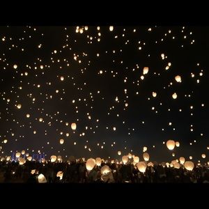 Meet your Posher, Ann