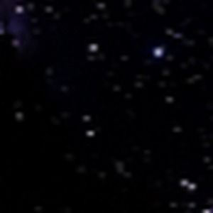 Meet your Posher, Devin