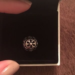 Pandora charm