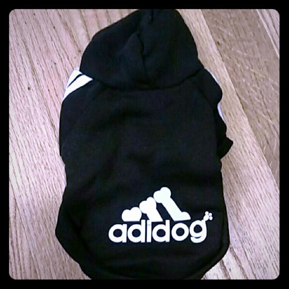 Dog Hoodie