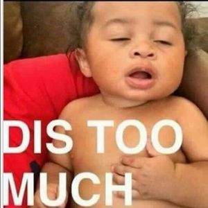 Meet your Posher, Phillip