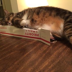 Meet your Posher, Fagin