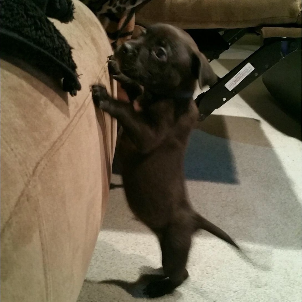 Meet your Posher, Maureen