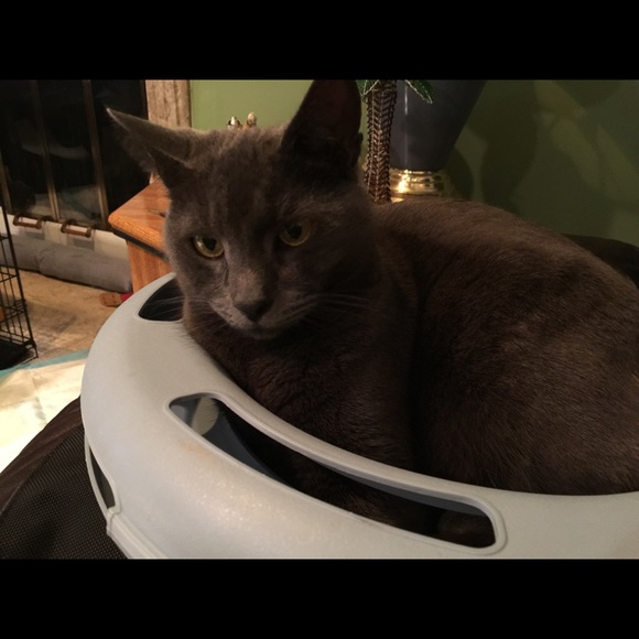 Meet your Posher, Maureen - Picture 2 of 5