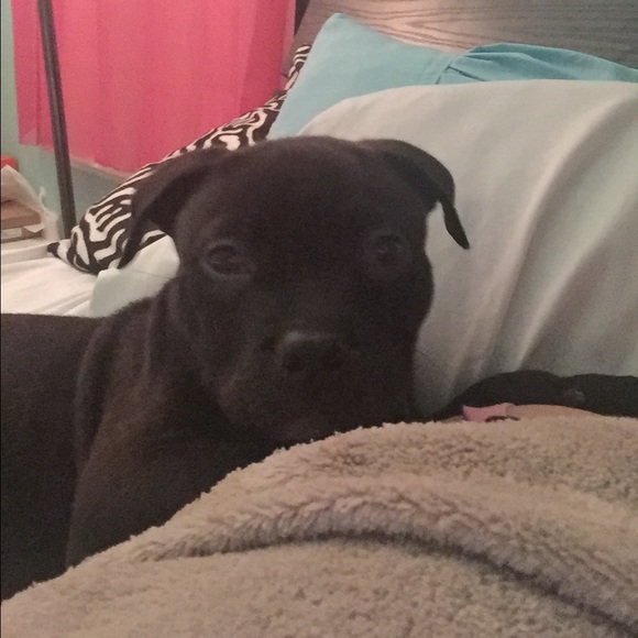 Meet your Posher, Maureen - Picture 3 of 5