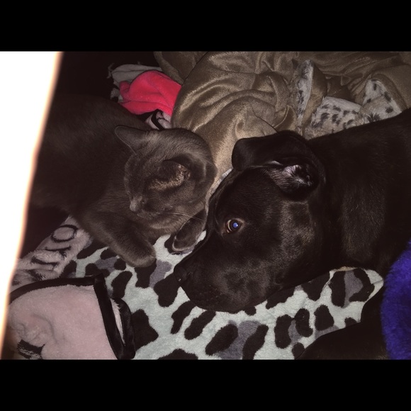 Meet your Posher, Maureen - Picture 4 of 5