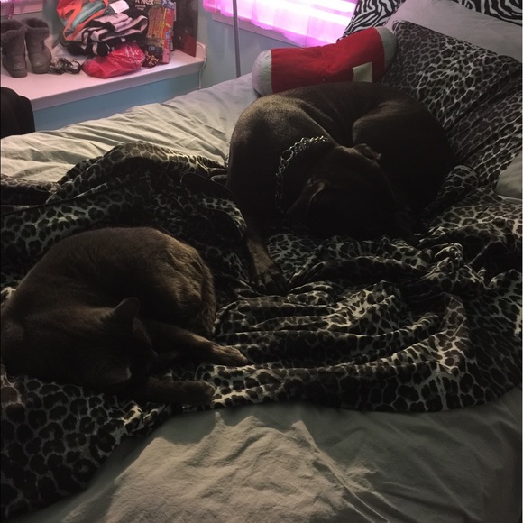 Meet your Posher, Maureen - Picture 5 of 5