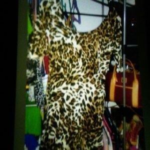 Ladies animal print dress