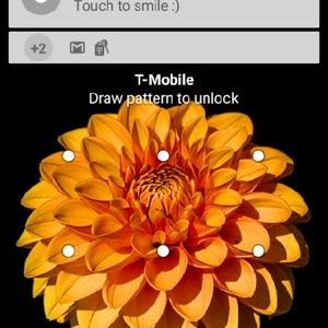 Meet your Posher, Venise