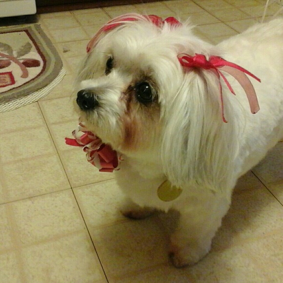 Meet your Posher, Nita Gale - Picture 5 of 6