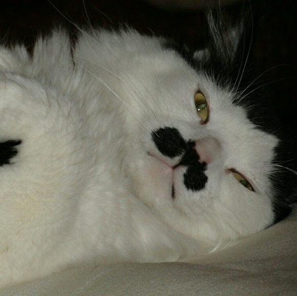 Meet your Posher, Nita Gale - Picture 6 of 6