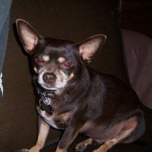 Meet your Posher, Jo-anne