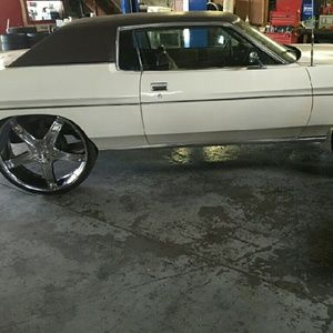 Meet your Posher, Freddie