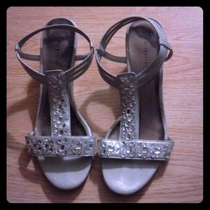 Silver wedges