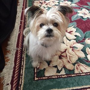 Meet your Posher, Sandra