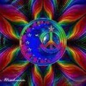 Meet your Posher, Tippi