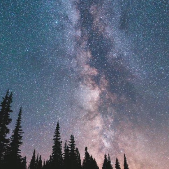 Meet your Posher, Nikki - Picture 1 of 1