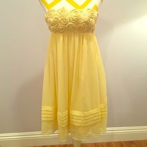 BCBG Rose Babydoll Dress