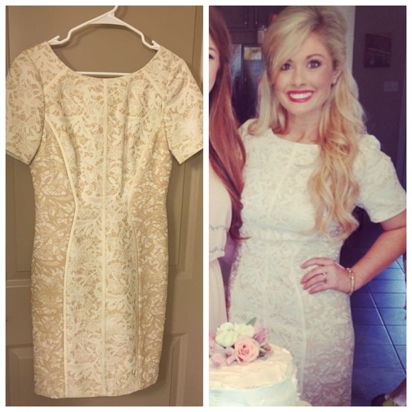 Cream and Tan Antonio Melani Dress