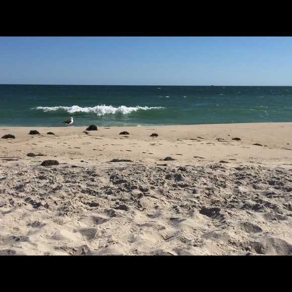 Meet your Posher, Capri - Picture 3 of 4