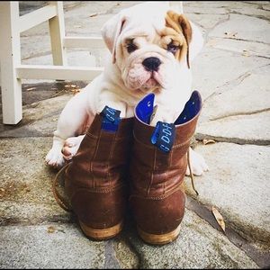 Meet your Posher, Julia