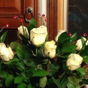 Meet your Posher, Christa