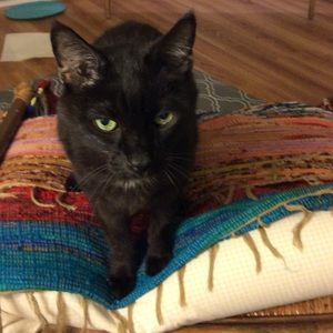 Meet your Posher, Corinne