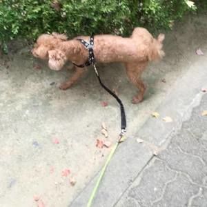 Meet your Posher, In-hyuk