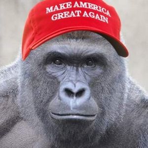 Meet your Posher, Logan