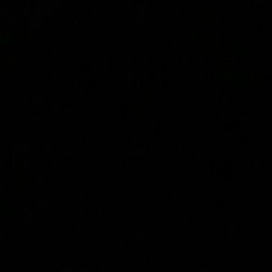 Meet your Posher, Samuel