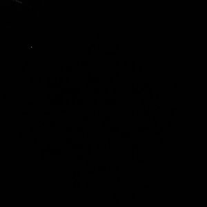 Meet your Posher, Regina