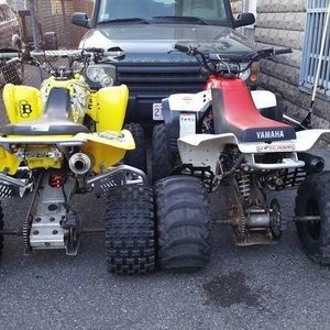 Meet your Posher, Nelson