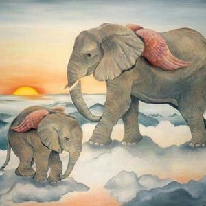 Meet your Posher, Aisha