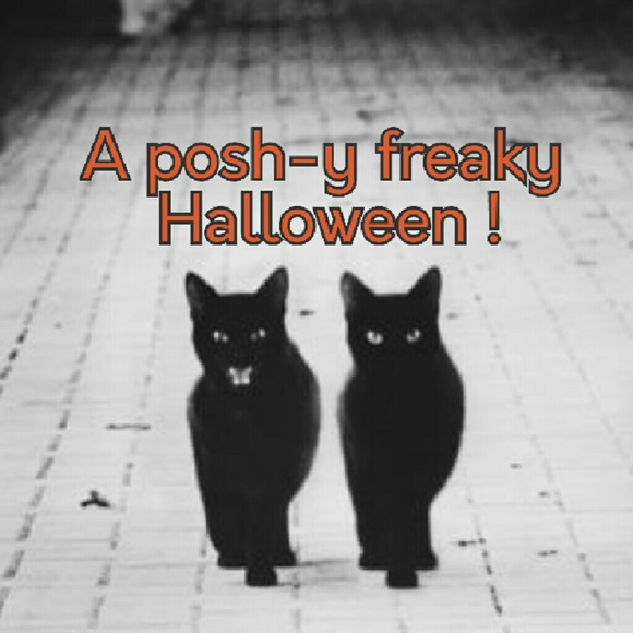 A posh-y freaky Halloween!   😺