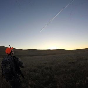 Meet your Posher, Eddie