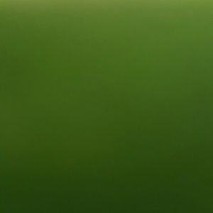 Meet your Posher, Karla