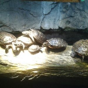 Meet your Posher, Marylou